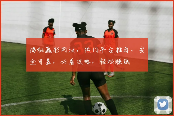 揭秘赢彩网址，热门平台推荐，安全可靠，必看攻略，轻松赚钱