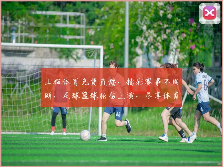 山猫体育免费直播，精彩赛事不间断，足球篮球轮番上演，尽享体育盛宴，不容错过