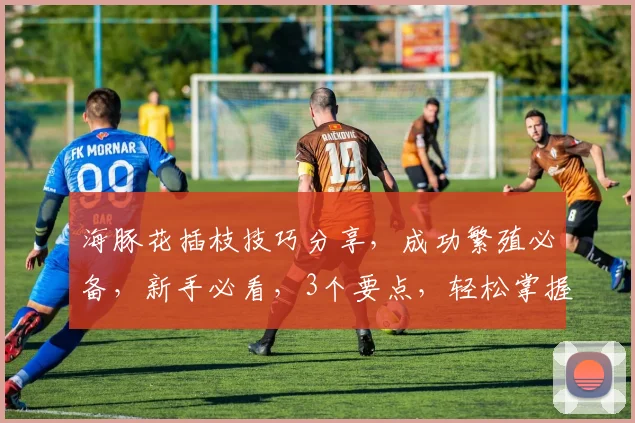 海豚花插枝技巧分享，成功繁殖必备，新手必看，3个要点，轻松掌握